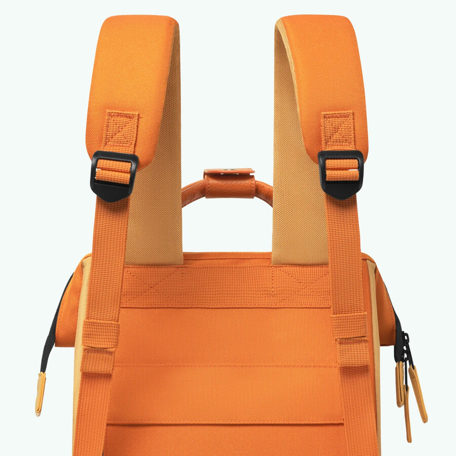 rucksack-abenteurer kleines gras