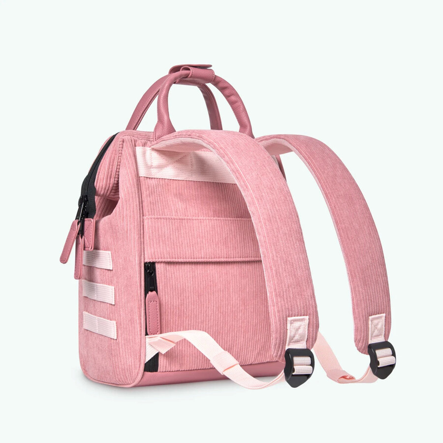 backpack adventurer small gold coast