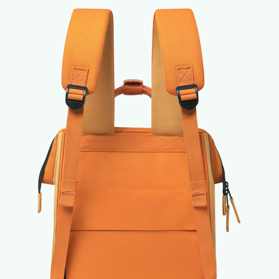 rucksack-abenteurer mittelgrasig